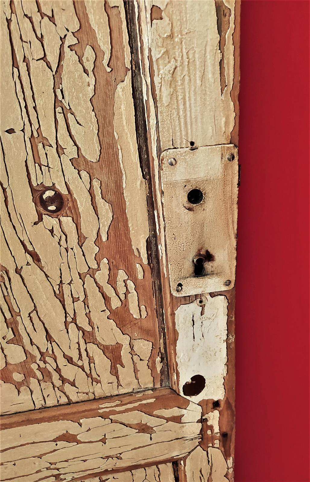 Single door in lacquered fir