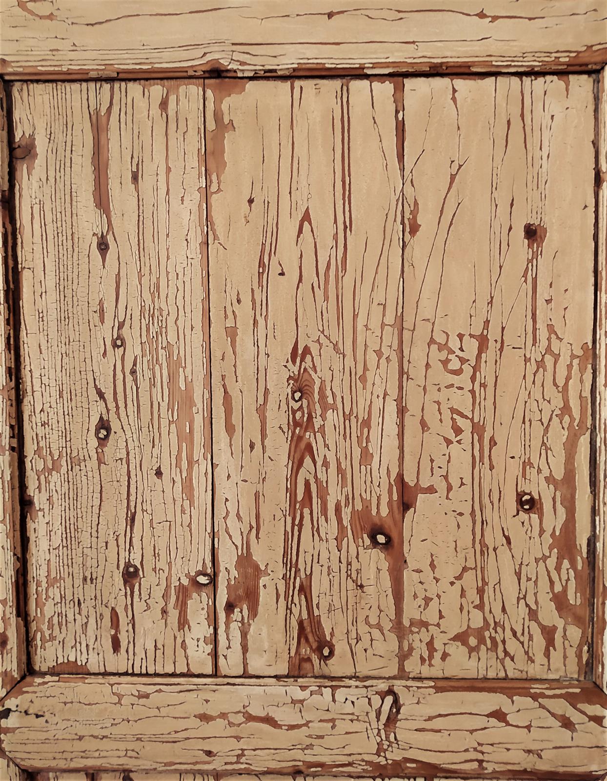 Single door in lacquered fir